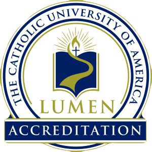 Lumen Seal Transparent